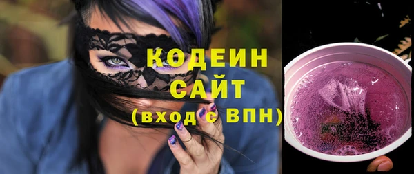 молекула духа Богданович