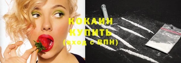 молекула духа Богданович