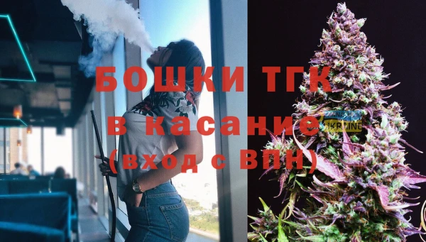 молекула духа Богородск