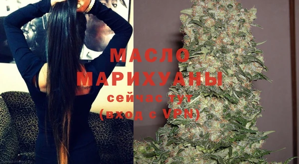 молекула духа Богородск