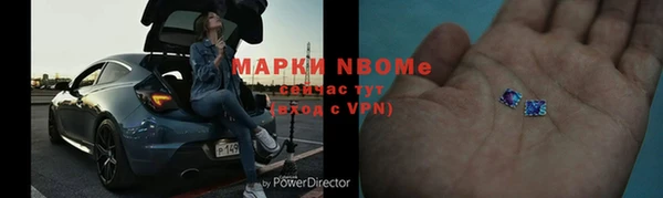 молекула духа Богданович