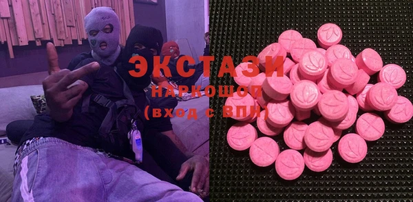 молекула духа Богданович