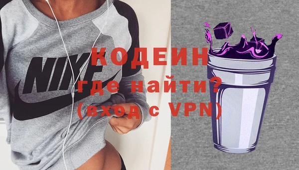 молекула духа Богданович