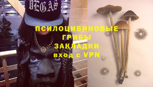 a pvp Богородицк