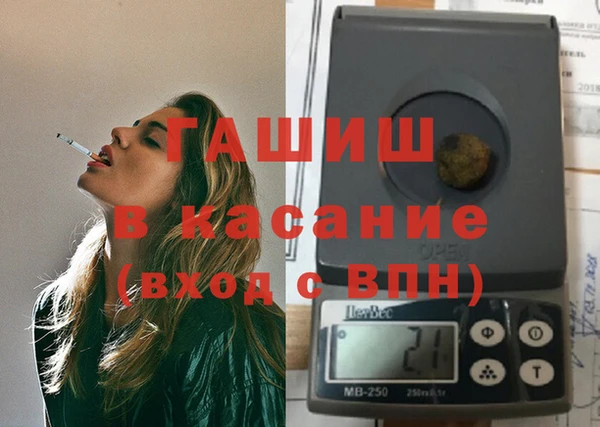 молекула духа Богданович