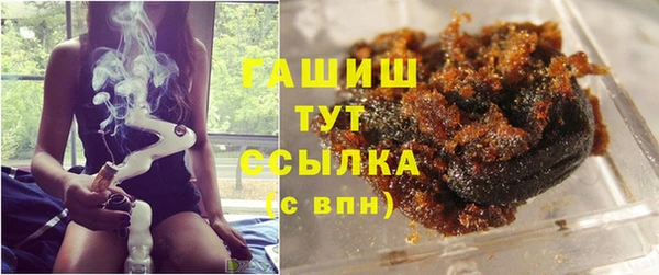 молекула духа Богданович