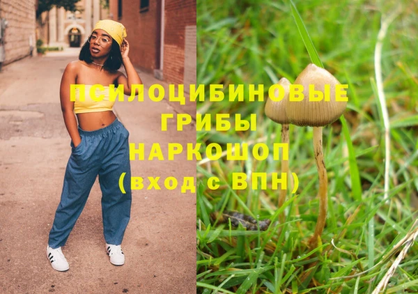 a pvp Богородицк
