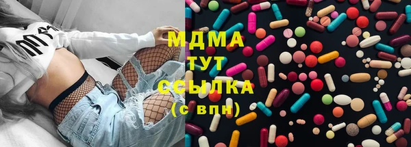 молекула духа Богданович