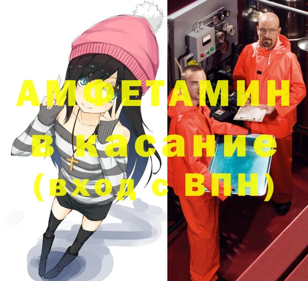 молекула духа Богданович