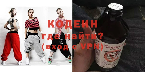 молекула духа Богданович