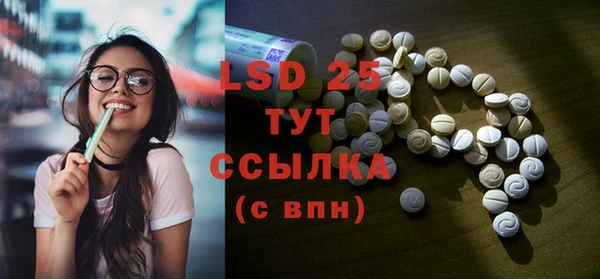 молекула духа Богданович