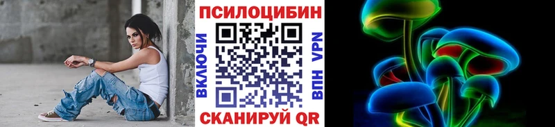 Псилоцибиновые грибы Psilocybe  Севск 